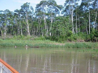 البرازيل معلومات وصور عنها , أروع الصور للبرازيل , صور نهر الأمازون Large_1234183128