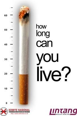 كيف تقتل نفسك بالتدخين ؟ Large_1238009424