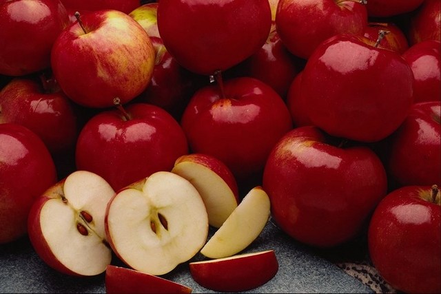 صور تفاح فاكهة التفاح انواع التفاح خل التفاح فوائد التفاح بحث عن التفاح تفاح ثقف نفسك بنفسك