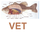 Veterinaryfish